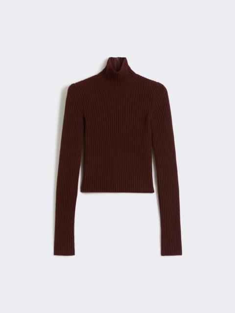 ARAL1234 Wool and cashmere ribbed turtleneck