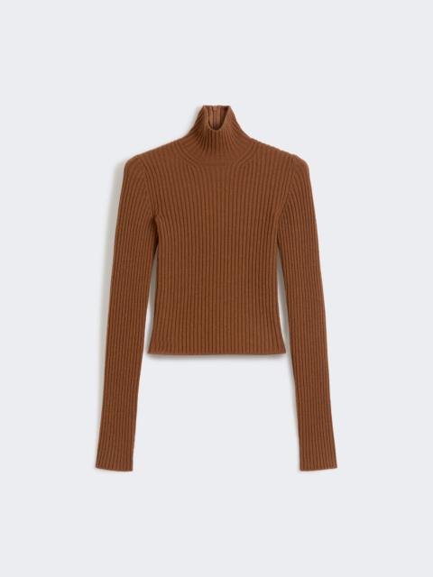 ARAL1234 Wool and cashmere ribbed turtleneck