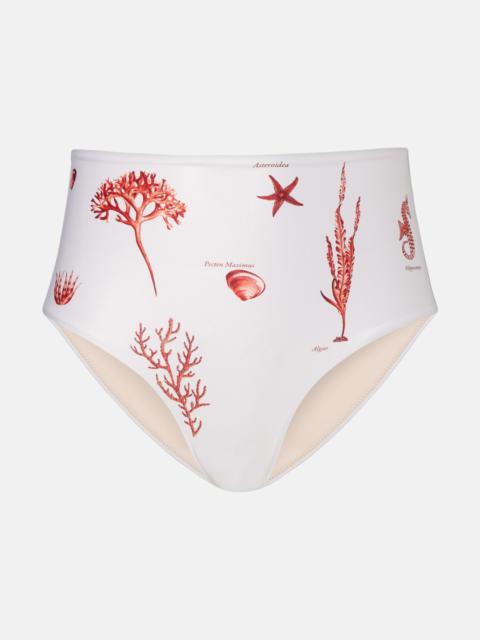 Magdalena printed bikini bottoms