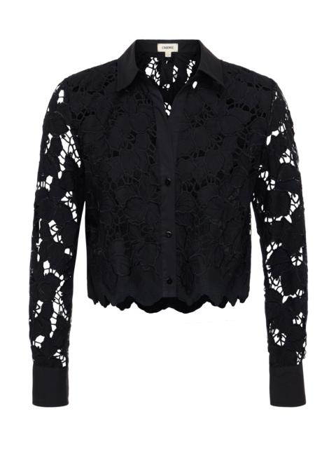 Seychelle Cropped Lace Blouse