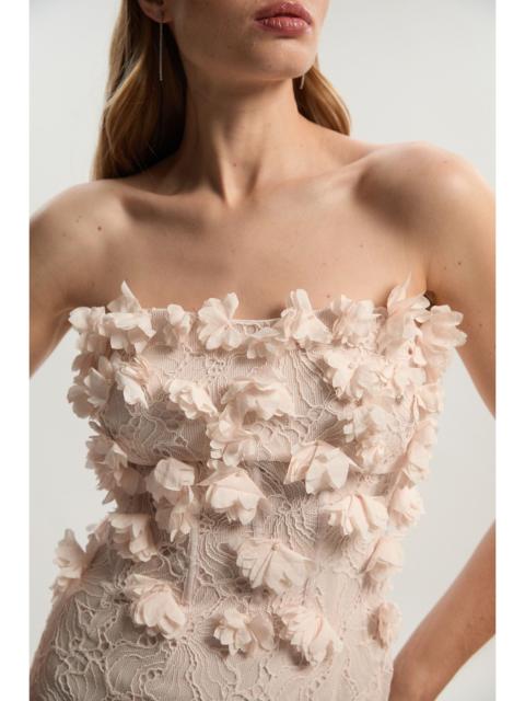 Applique Lace Corset Woven Mini Dress