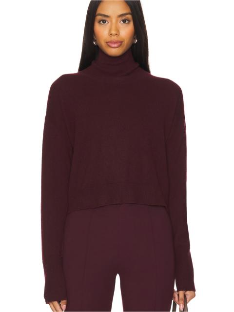 Sable Turtleneck Sweater