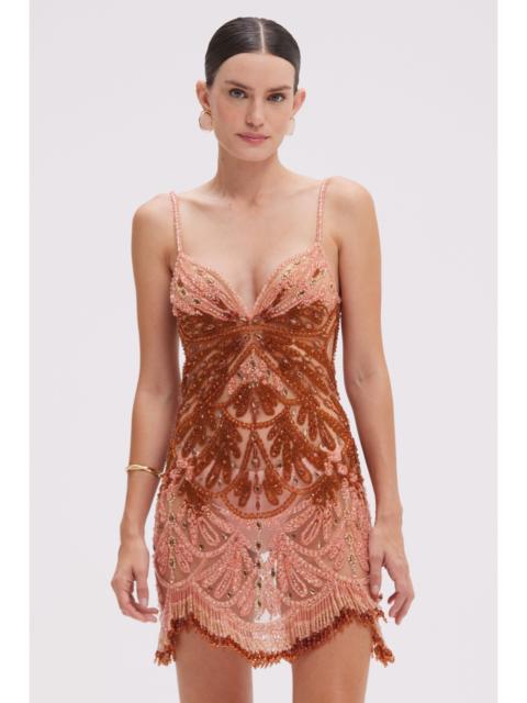 EMBROIDERED TULLE MINI DRESS (RUNWAY)