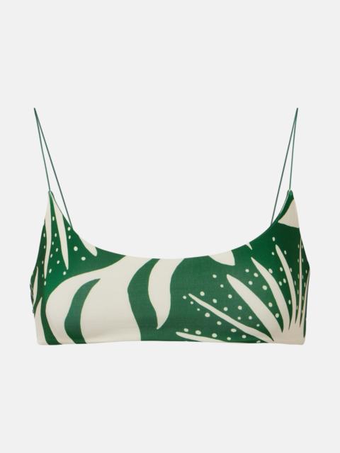 Isla printed bikini top