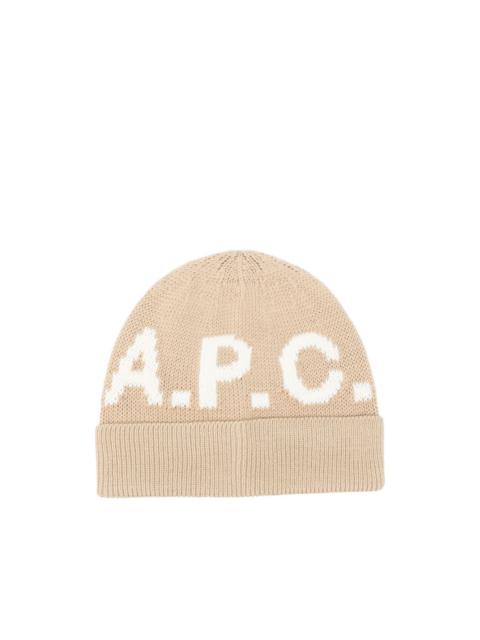 logo-embellishment beanie