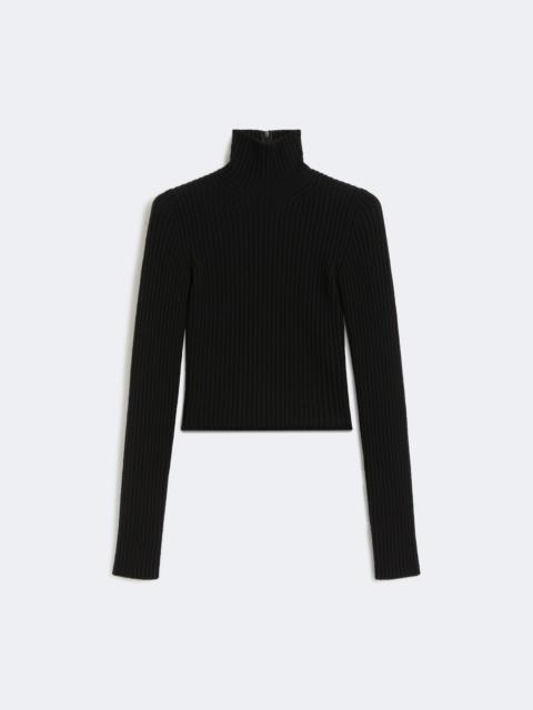 ARAL1234 Wool and cashmere ribbed turtleneck