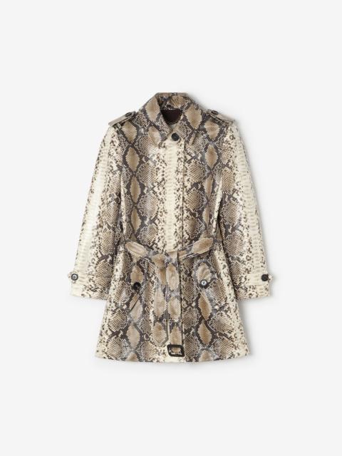 Short Python Print Coated Cotton Stonehaven Car Coat