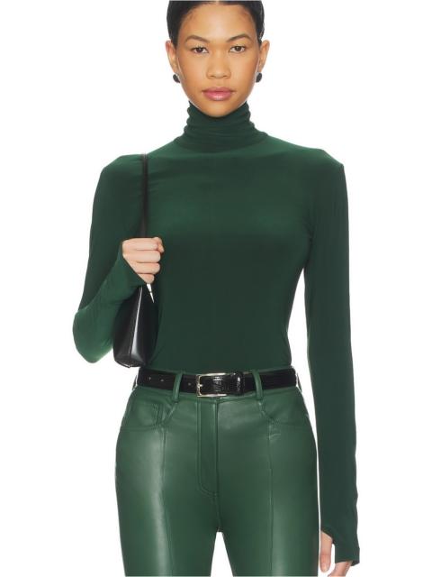 Slim Fit Long Sleeve Turtle Top