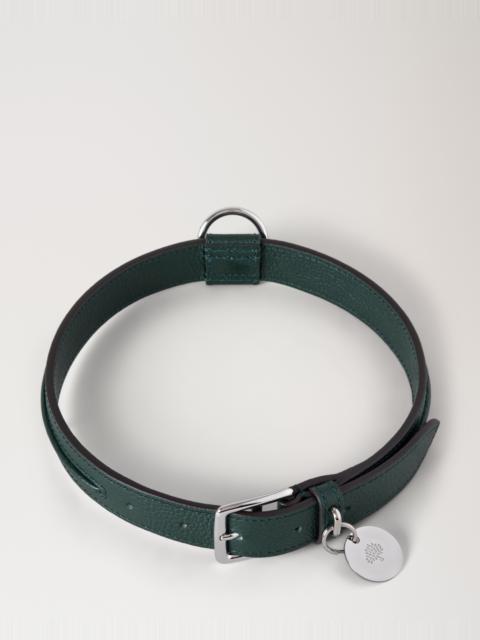 Large Leather Dog Collar
Mulberry Green Small Classic Grain