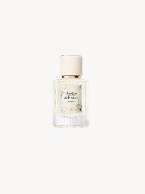 LIMITED-EDITION ATELIER DES FLEURS CEDRUS EAU DE PARFUM