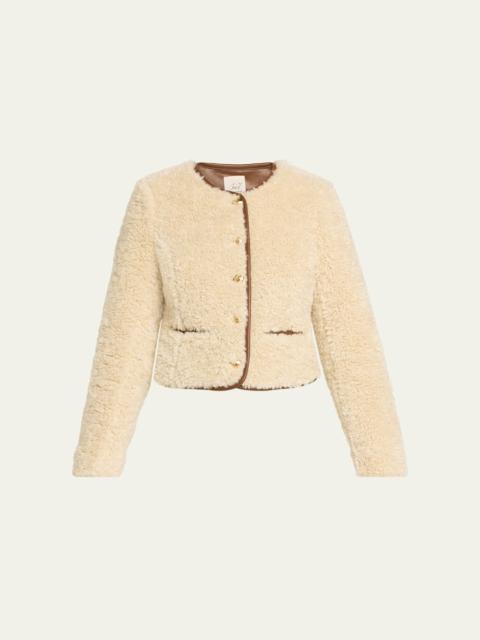 Naia Cropped Faux Fur Jacket