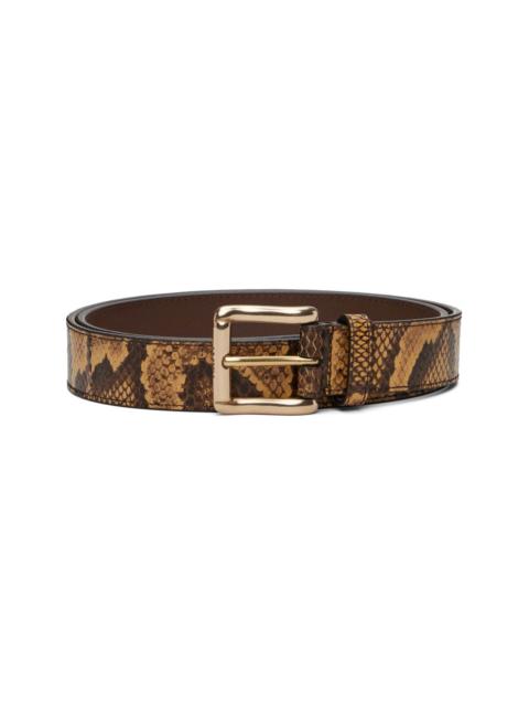 Brown Python Square Belt