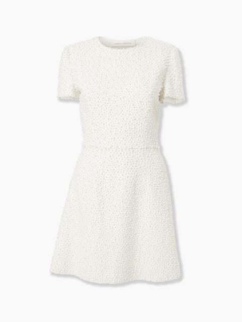 Pearl-Embroidered Mini Dress