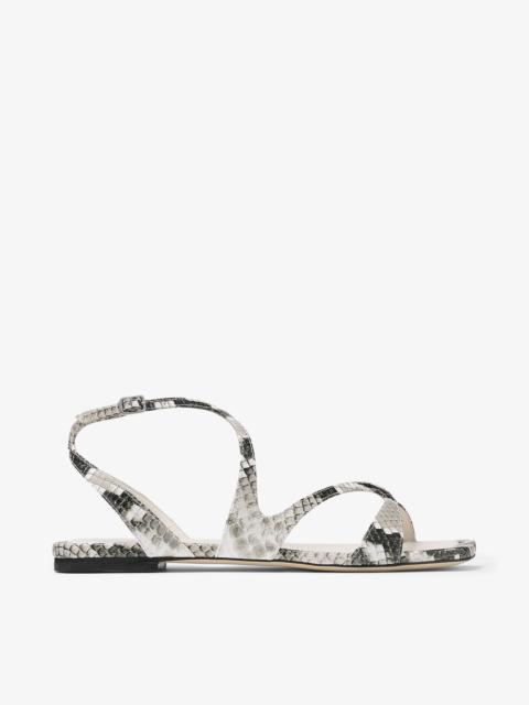 Ayla Flat Roccia Snake Print Flats