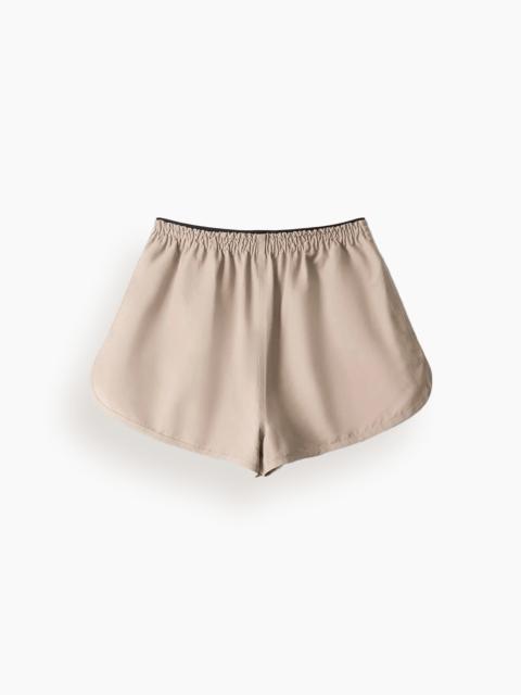 Anchor Short in Desert