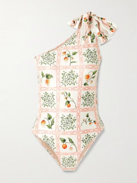 Remedios One-shoulder Printed Recycled Swimsuit