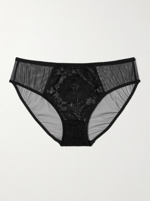 Tulle And Lace Briefs