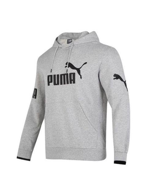 PUMA Power Training Hoodie 'Grey' 676667-04