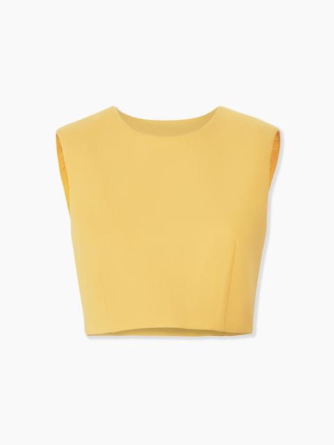 Sleeveless Cropped Top