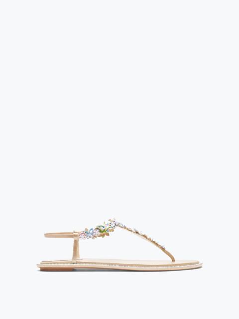 Eden Nude Thong Sandal 10