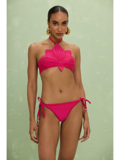 AURORA LYCRA LOTUS BIKINI TOP