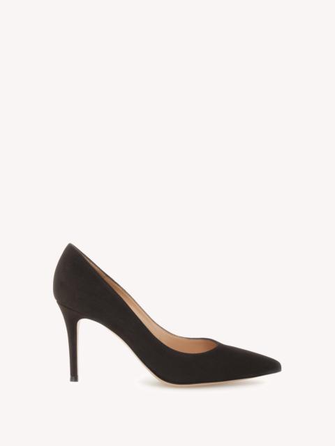 GIANVITO 85