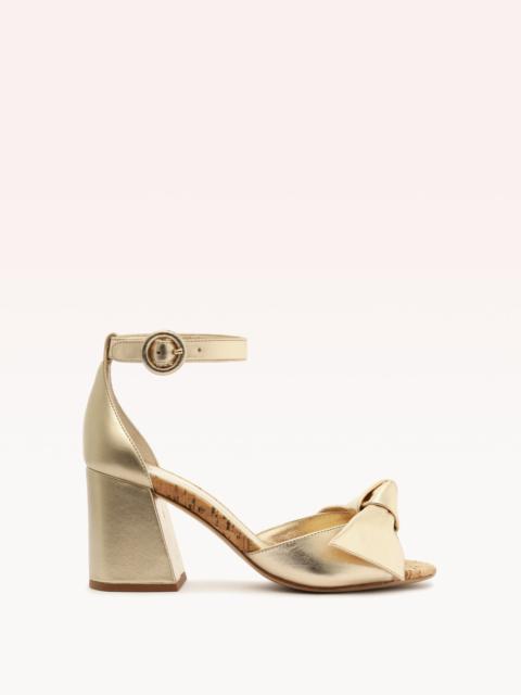 MAXI CLARITA FLARE 75 GOLDEN