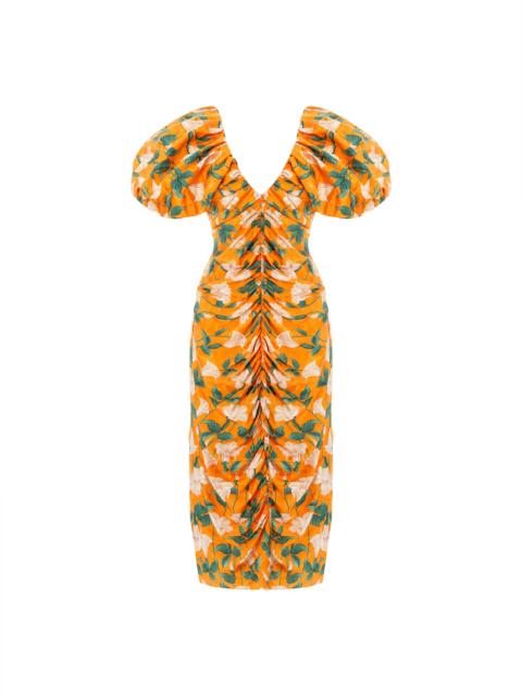 Camelia Sabanero Dorado Midi Dress