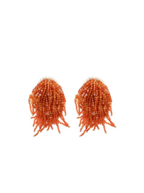 beaded tassel earrings