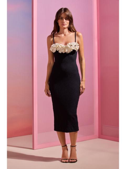 BREEZE JACQUARD COLORBLOCK MIDI DRESS