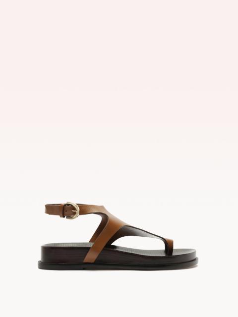 ELIAH SPORT SANDAL ESPRESSO