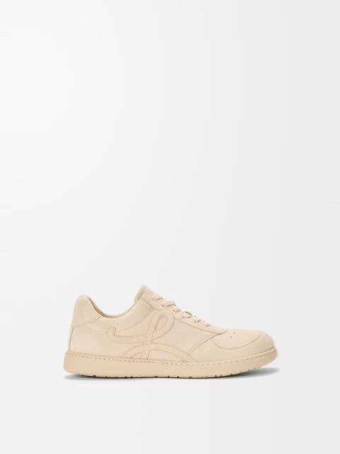 Jambo sneaker in suede calfskin