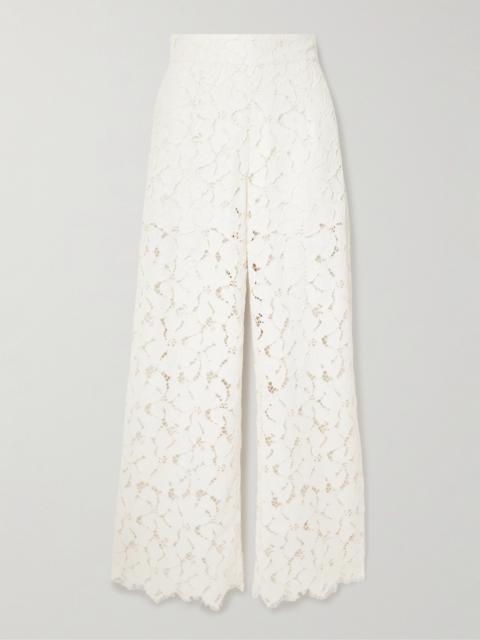 Cipro Scalloped Corded Lace Straight-leg Pants