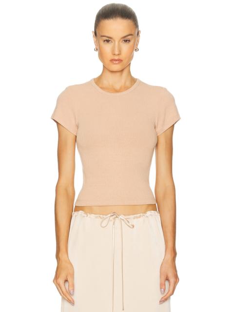 Yael Cropped Baby Tee