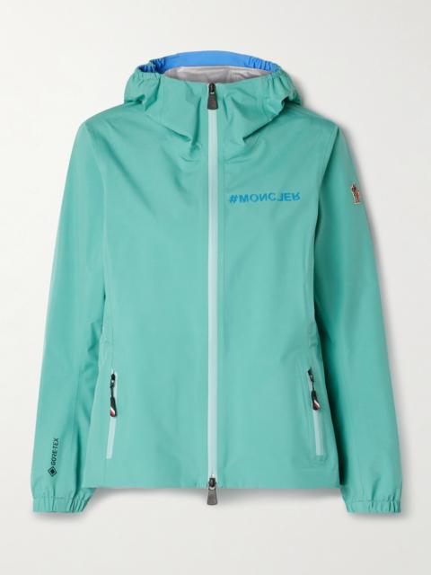 Valles Hooded Gore-tex Paclite Jacket