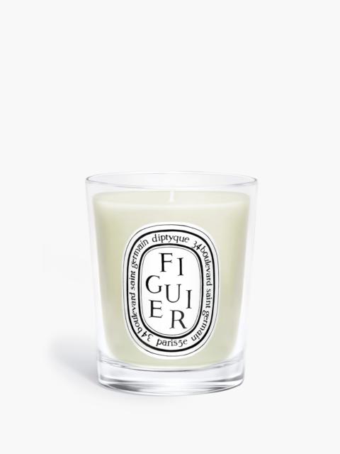 Figuier (Fig Tree) - Small Candle