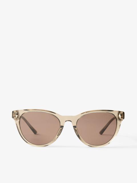 Trace 
Brown Transparent Pantos Sunglasses