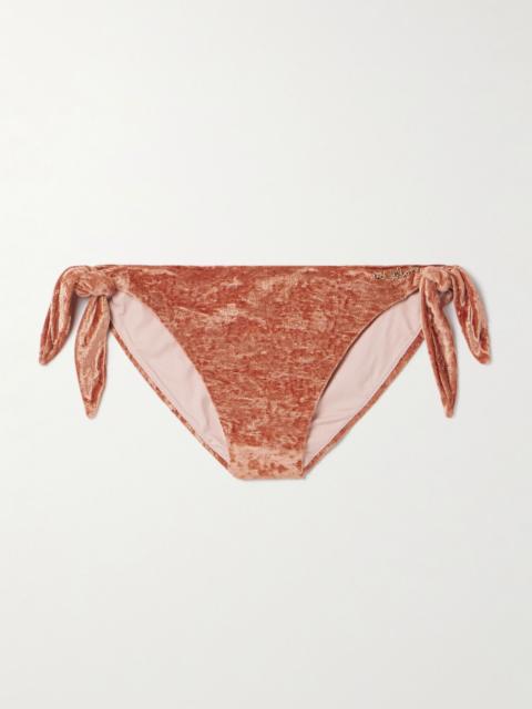 Embellished velvet bikini briefs Orange