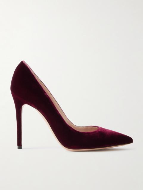Gianvito 105 Velvet Pumps
