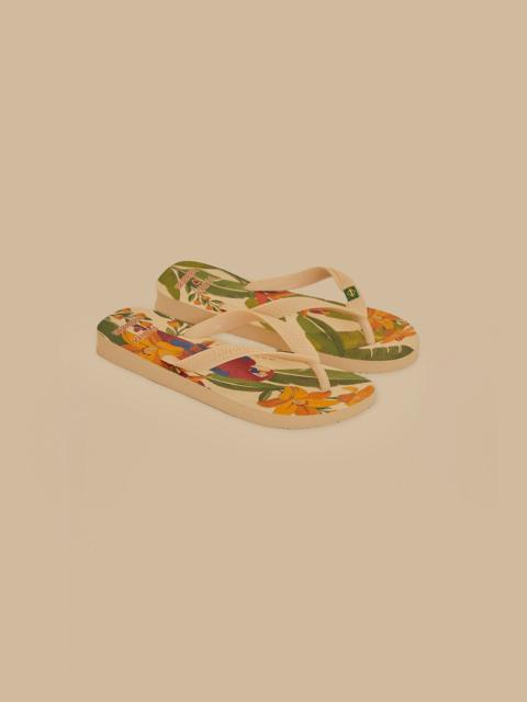 Farm Ararinhas Havaianas Sandals