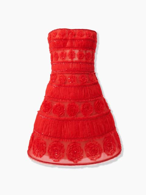 Embroidered Tulle Mini Dress