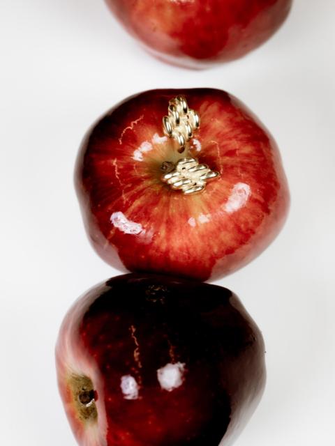 Mini Chain Link Earrings