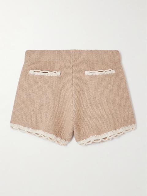 Willow Crochet-trimmed Knitted Shorts
