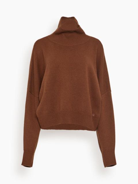 Luke Stand Collar Sweater in Brown