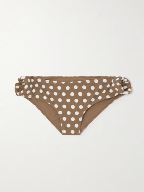 Coronada Polka-dot Bikini Briefs