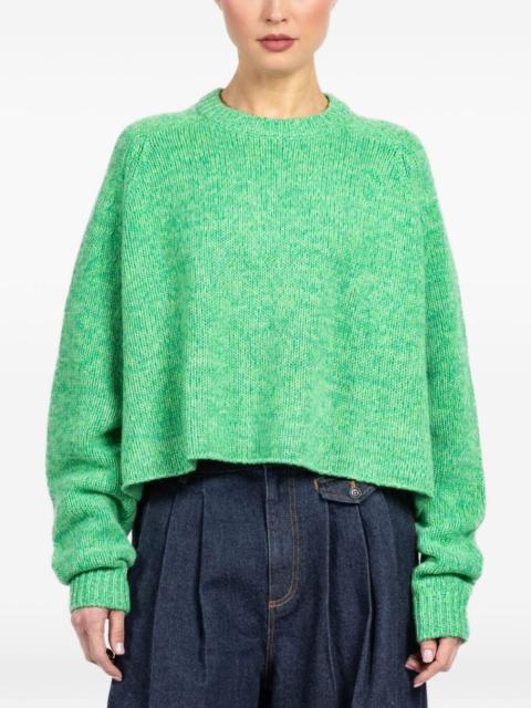 Karine D crew-neck sweater