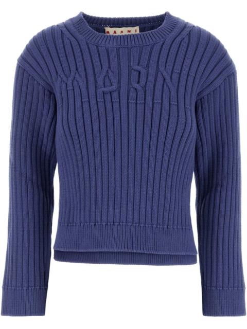 Cerulean jumper