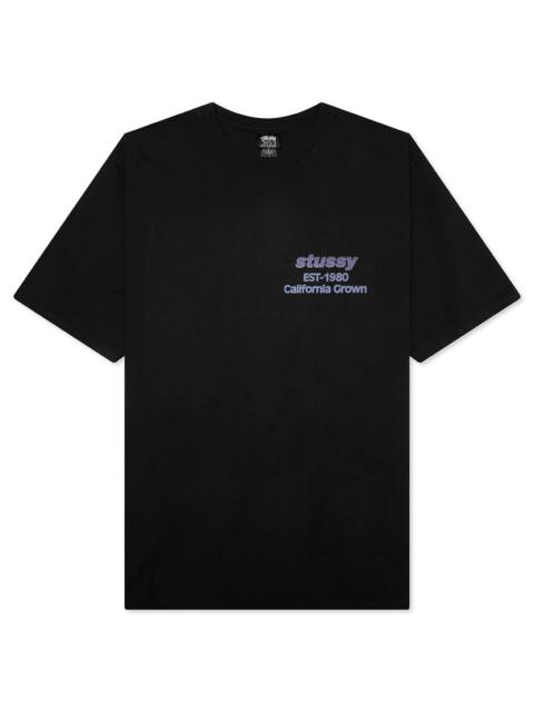 CALIFORNIA GROWN PIGMENT DYED TEE - BLACK