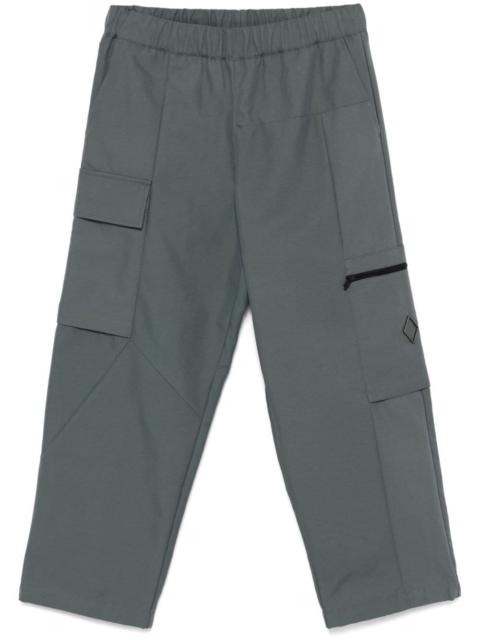 Stratum cargo pants