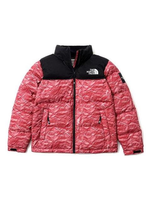 THE NORTH FACE Novelty Nuptse NJ1DM66L